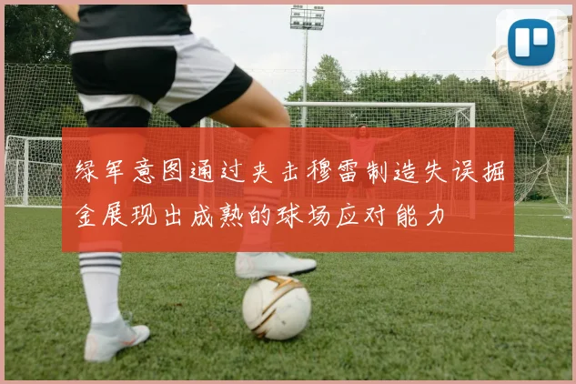 绿军意图通过夹击穆雷制造失误掘金展现出成熟的球场应对能力